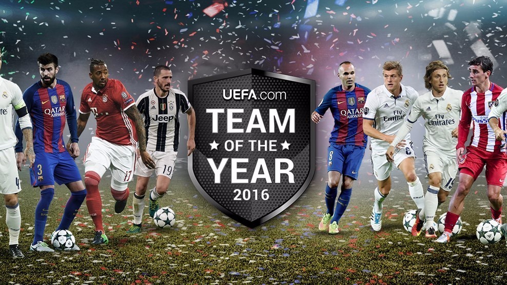 端的组织作 端的组织作